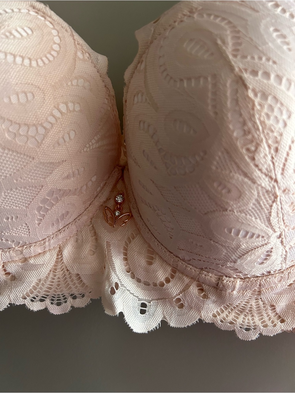 Cacique Lace Push-Up Bra in Light Blush